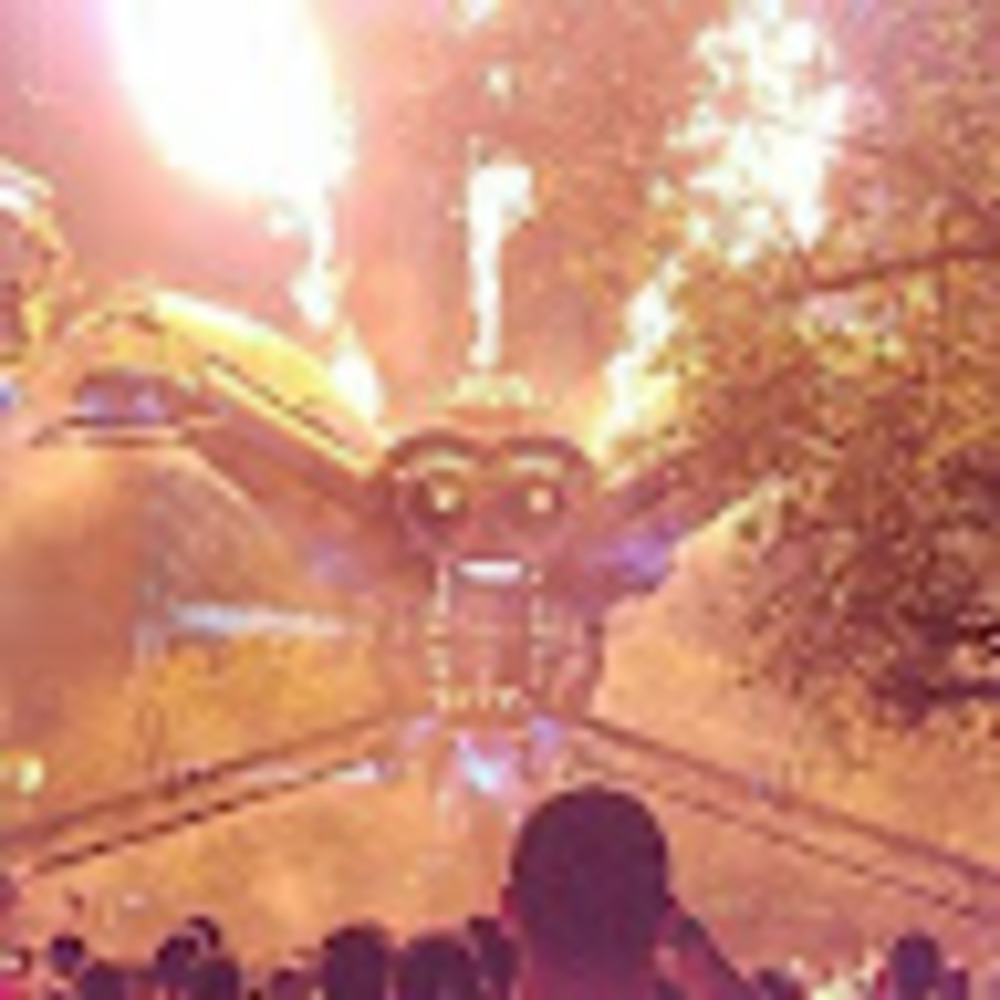 Meet your Posher, Julia